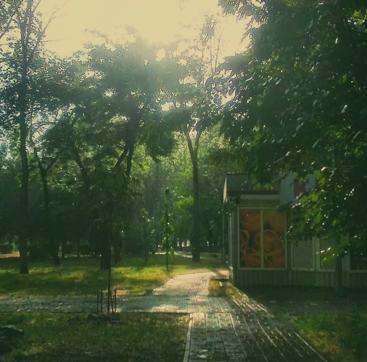 ニックス୨ৎ ¹ ¹⁶ ⁸¹ ⁴³ tweet media