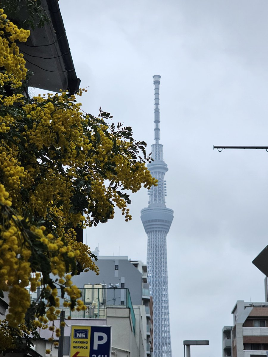 AT 限定(オートマチック限定) tweet media