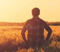 Peter Georgic tweet media