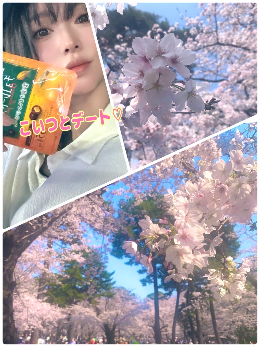 🍑 🅆🄽🄶 ㄜㄘꯖ ꩢ 🍑BOXの旅にでました📦 tweet media