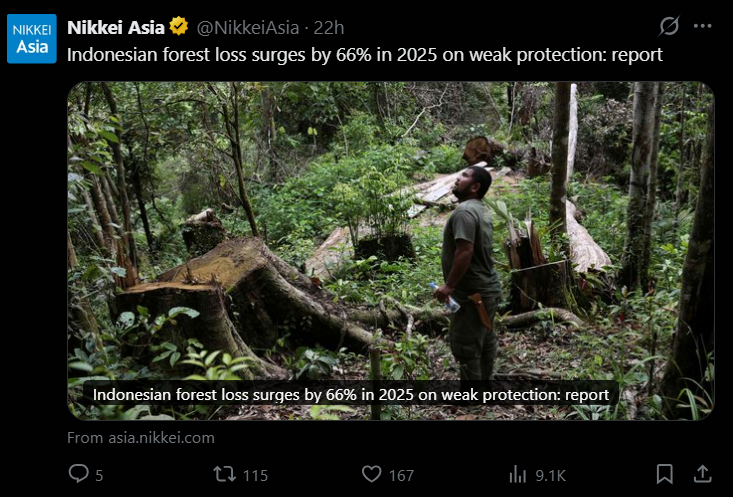 Pepe Neo tweet media