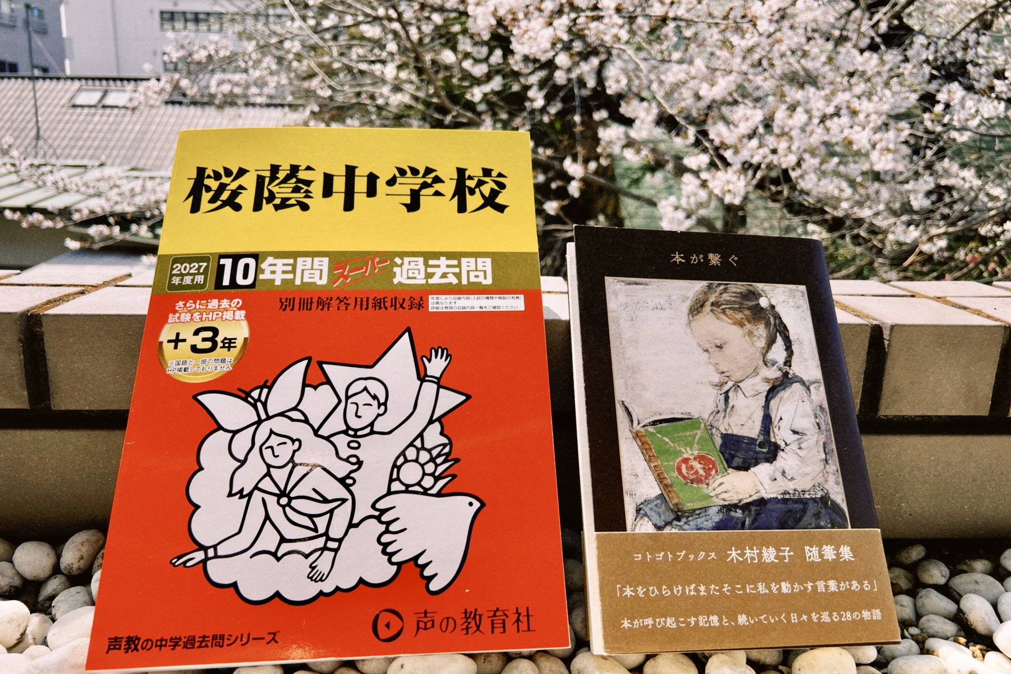 木村綾子 on X: 