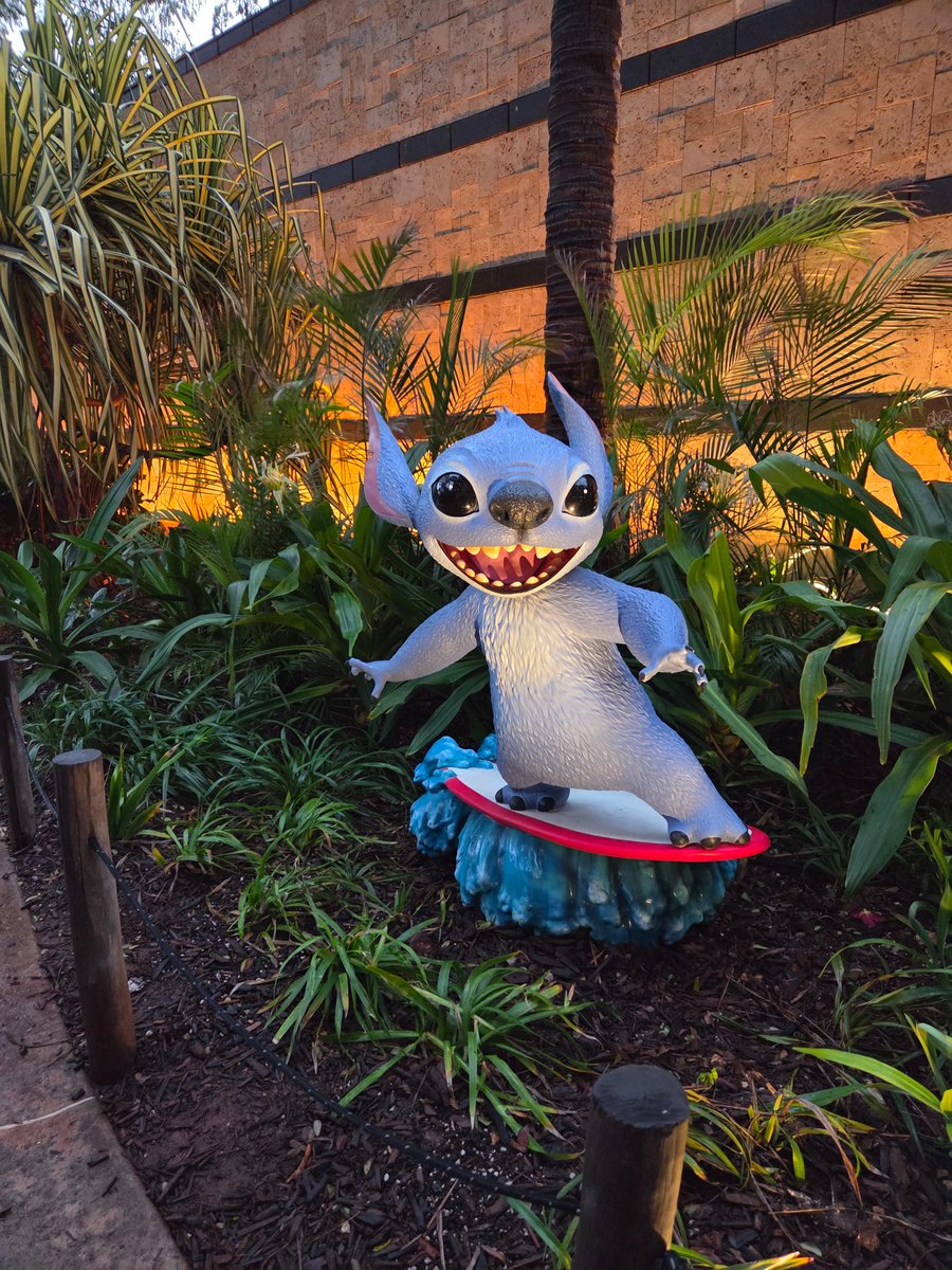 🌺Lizzie🌺 tweet media