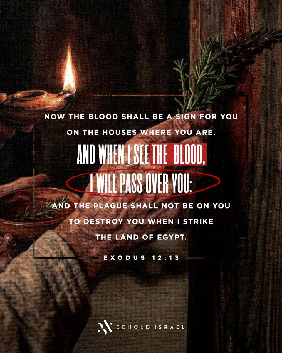 Amir Tsarfati tweet media