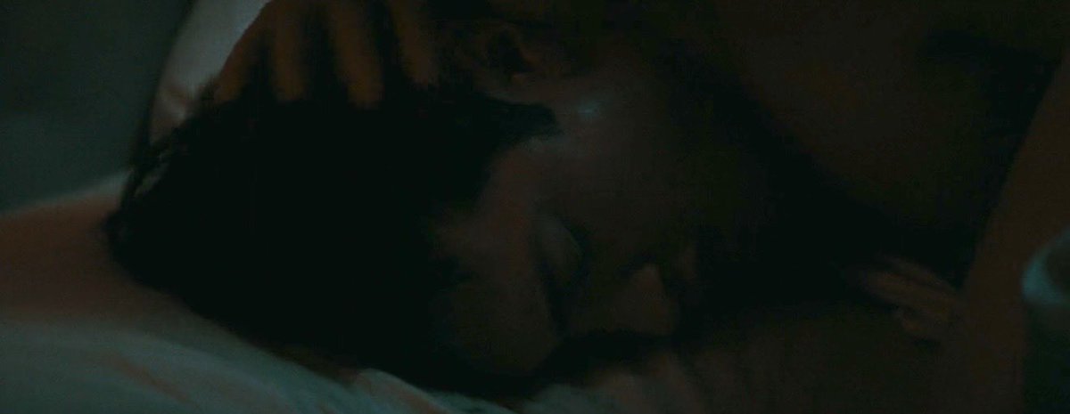 vie⋆˙⟡ tweet media