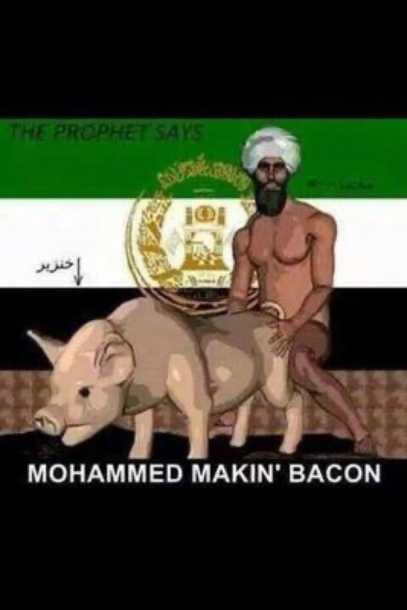 Rotweets tweet media