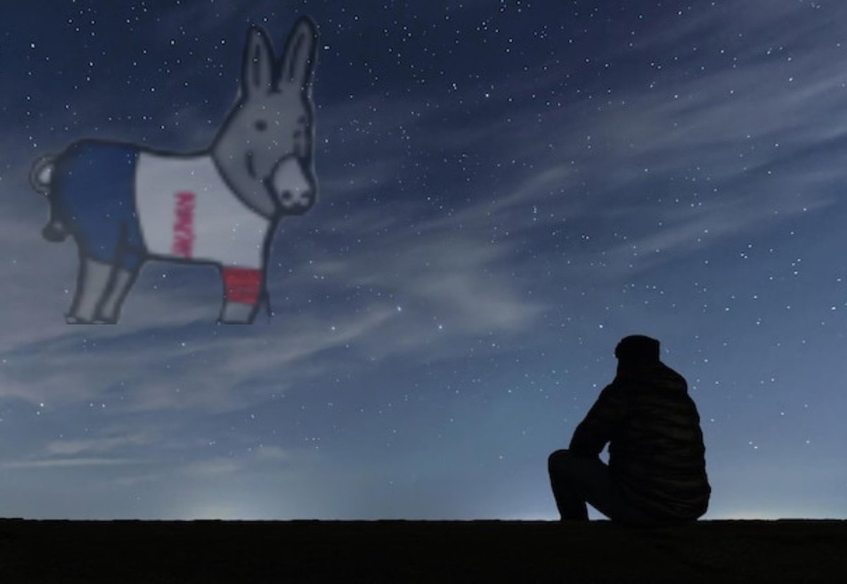 Pablo 🐧💾 tweet media