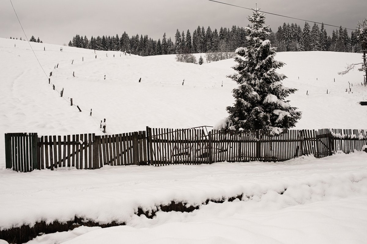 Leaving 🎗️🇮🇱🇺🇦🇪🇺🇨🇦🇬🇱 tweet media