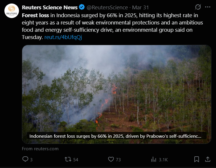 Pepe Neo tweet media