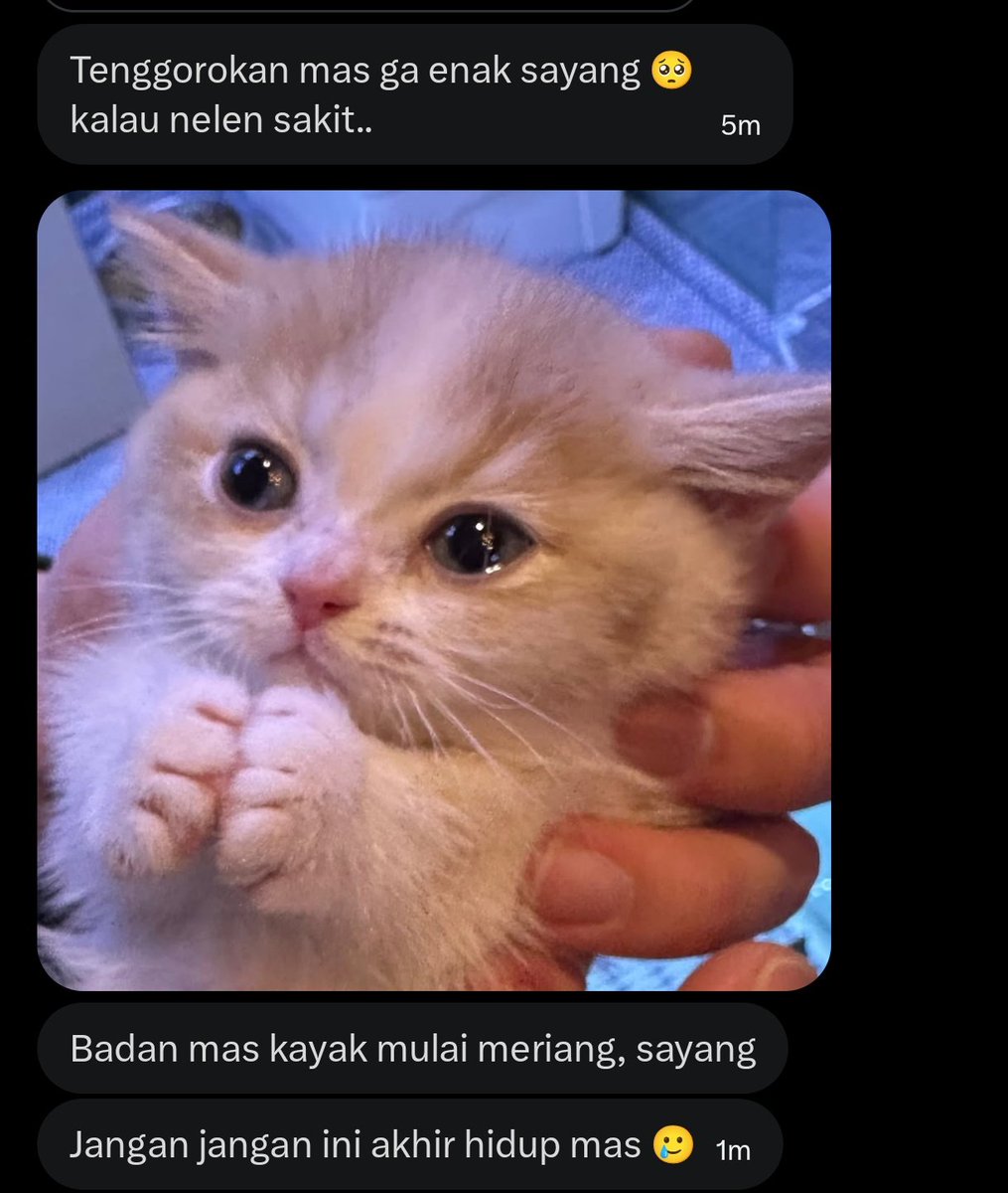 Jonathan Daniel, 蓝. tweet media