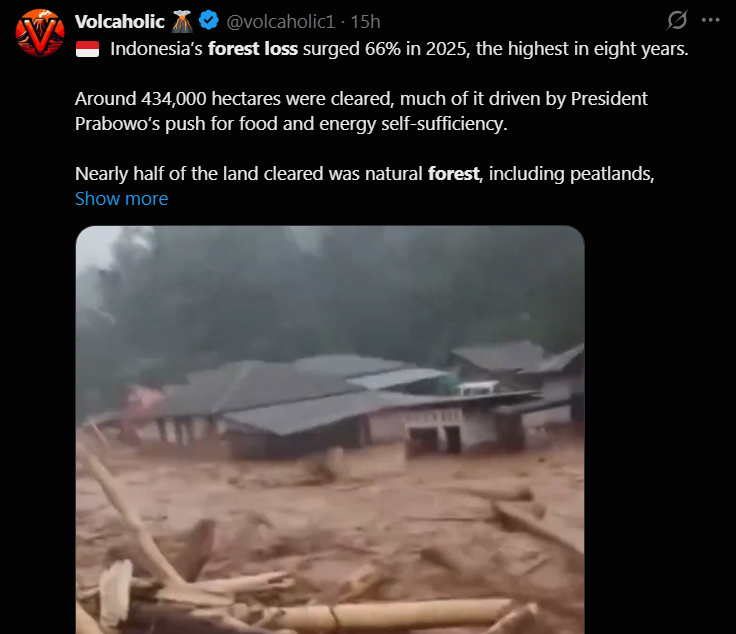 Pepe Neo tweet media