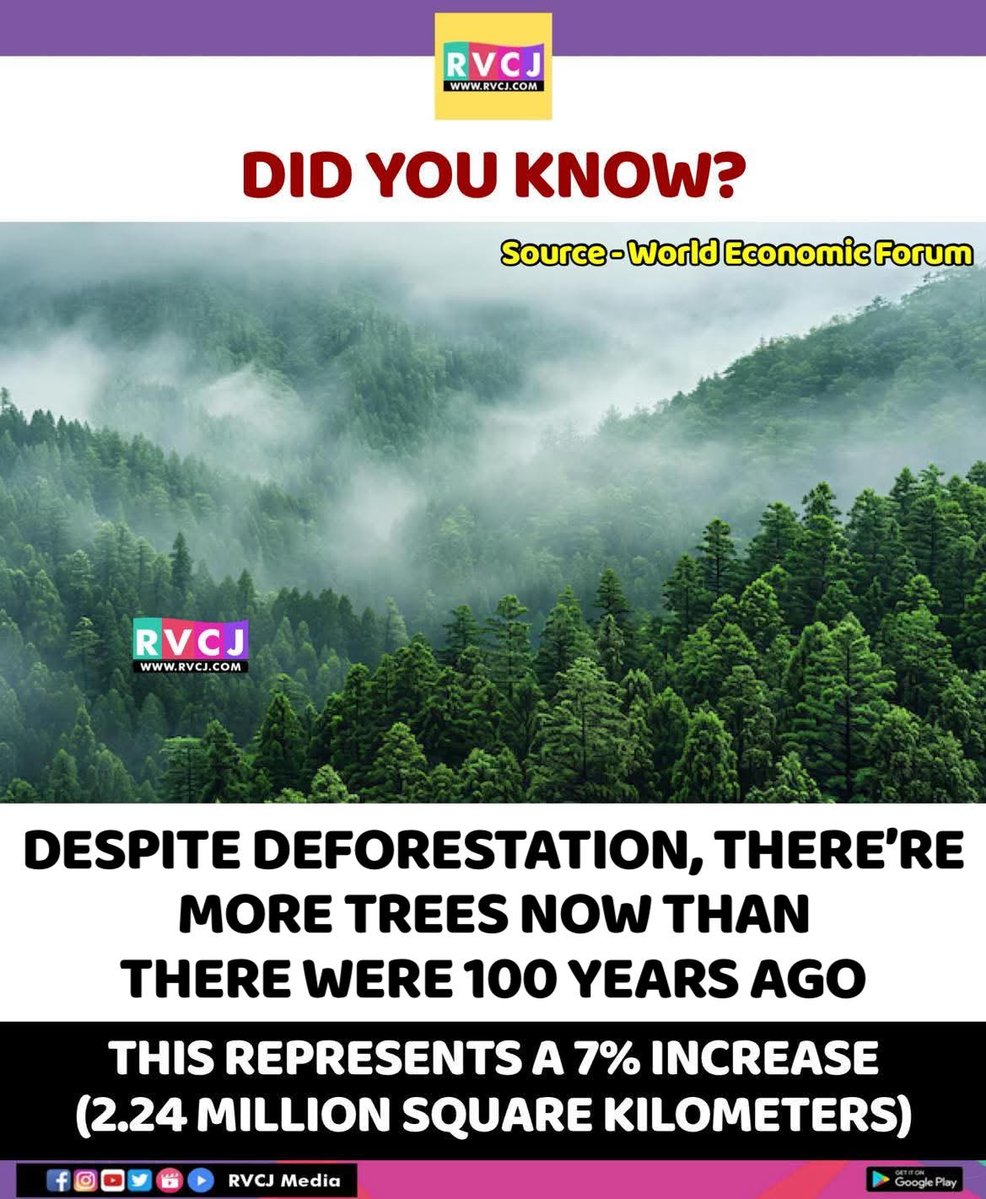 RVCJ Media tweet media