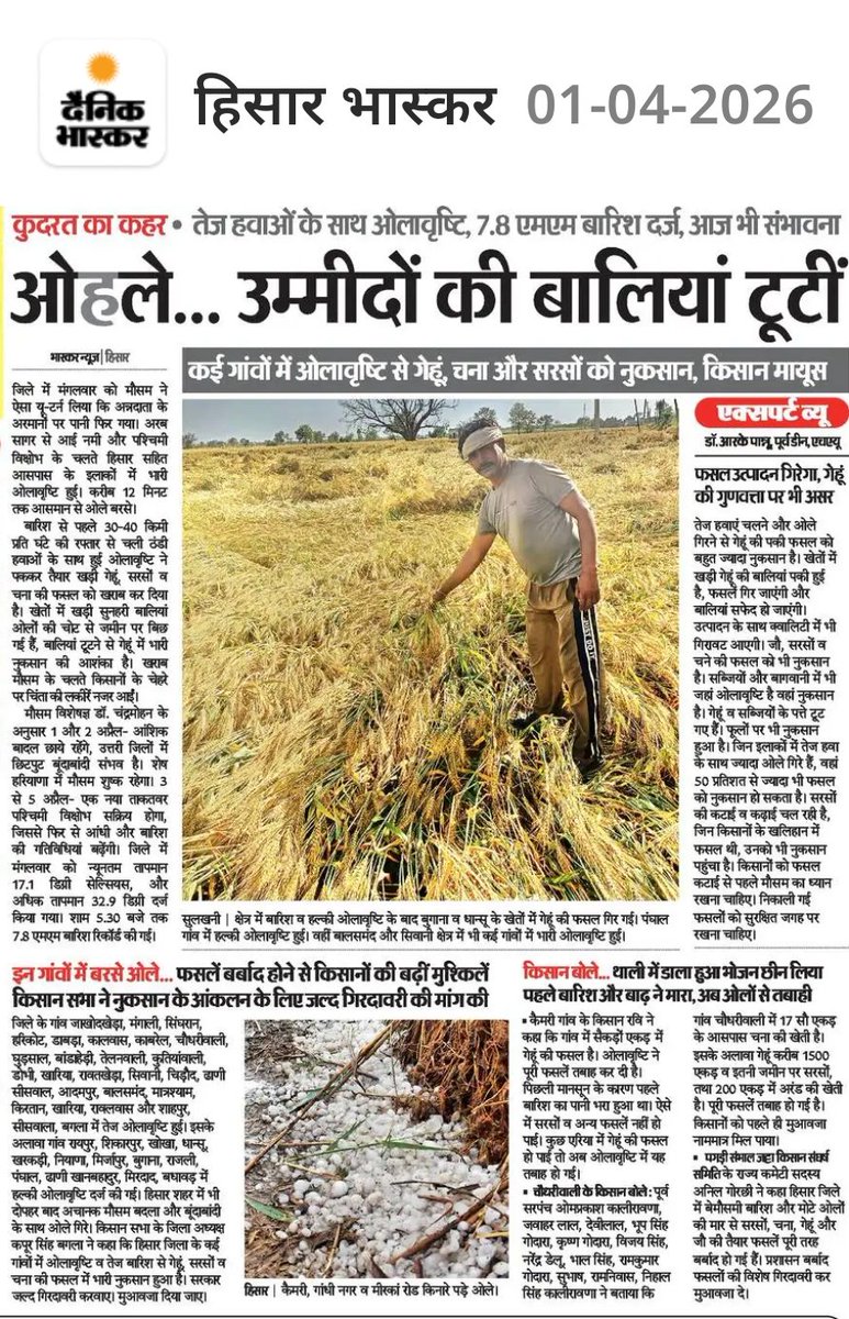 ताऊ धर्मा tweet media