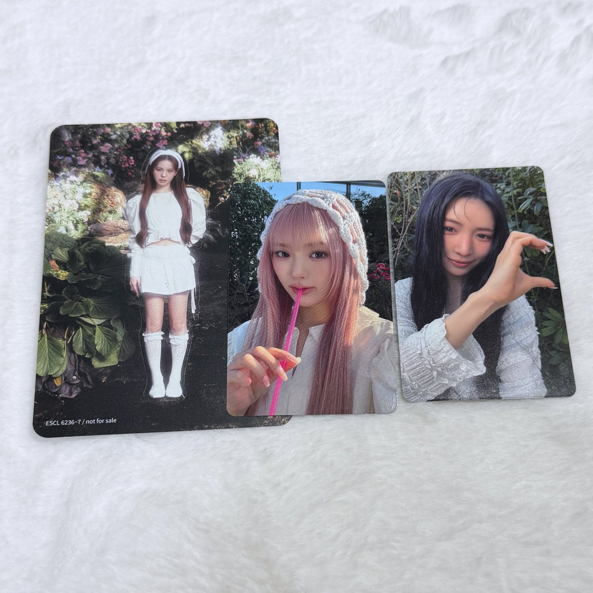 카 렌 ໒꒱·̩͙ tweet media