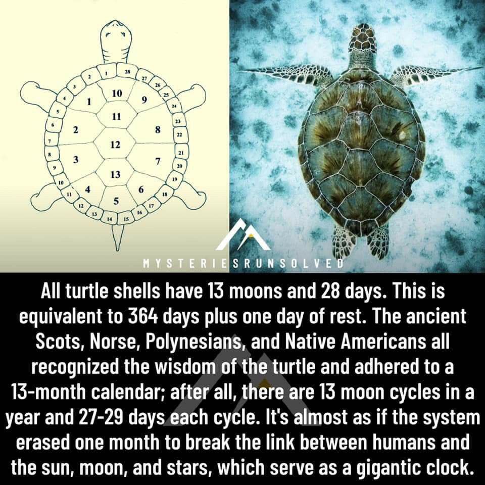 restinpeace globe tweet media