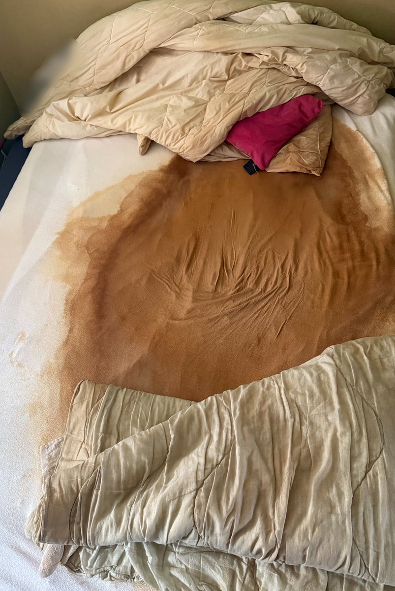 LEILAWET1 tweet media