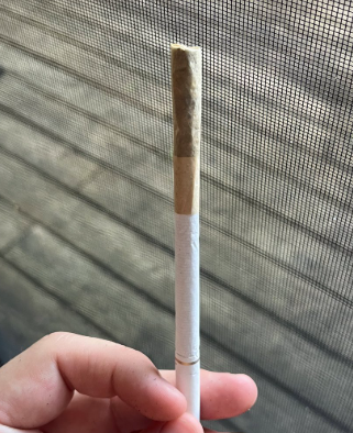 castledmallard 🇺🇸 🇭🇳 tweet media