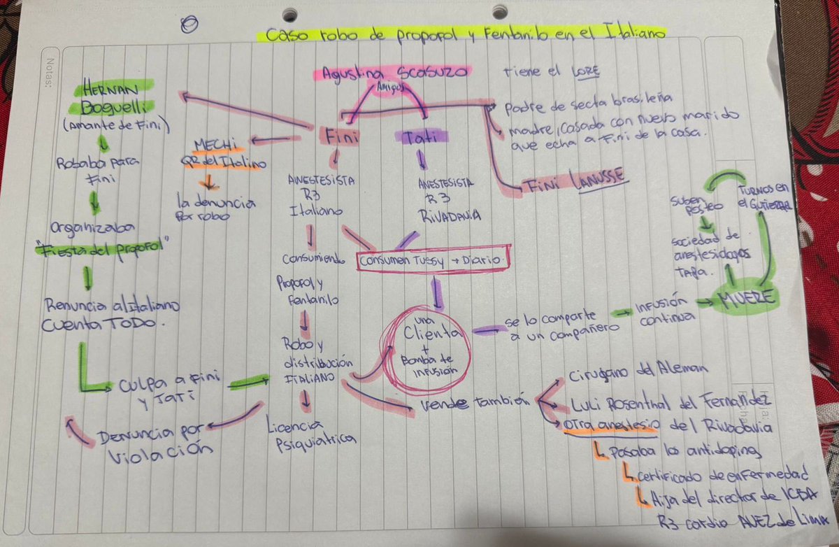 Bichito de lu✨ tweet media