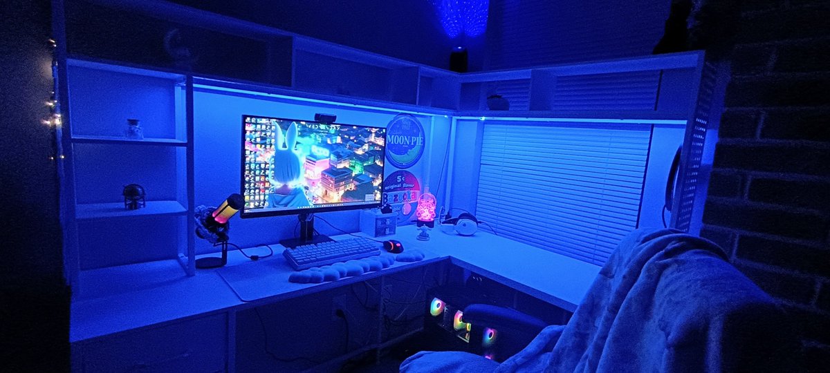 Opal Usagi 🛸 🐇 tweet media