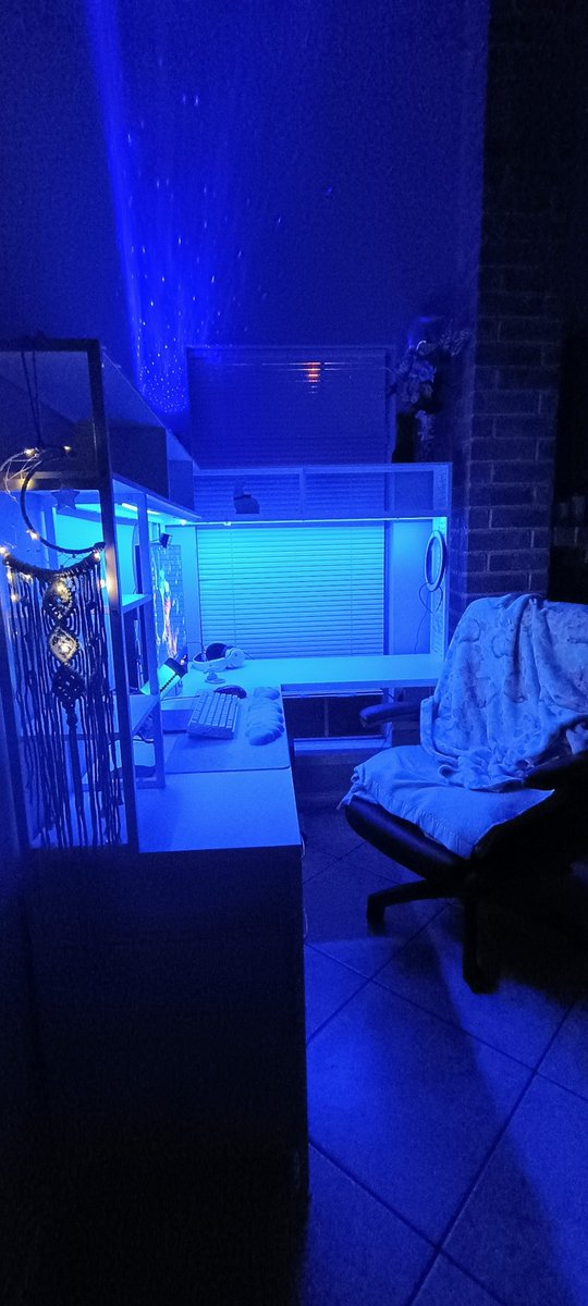 Opal Usagi 🛸 🐇 tweet media