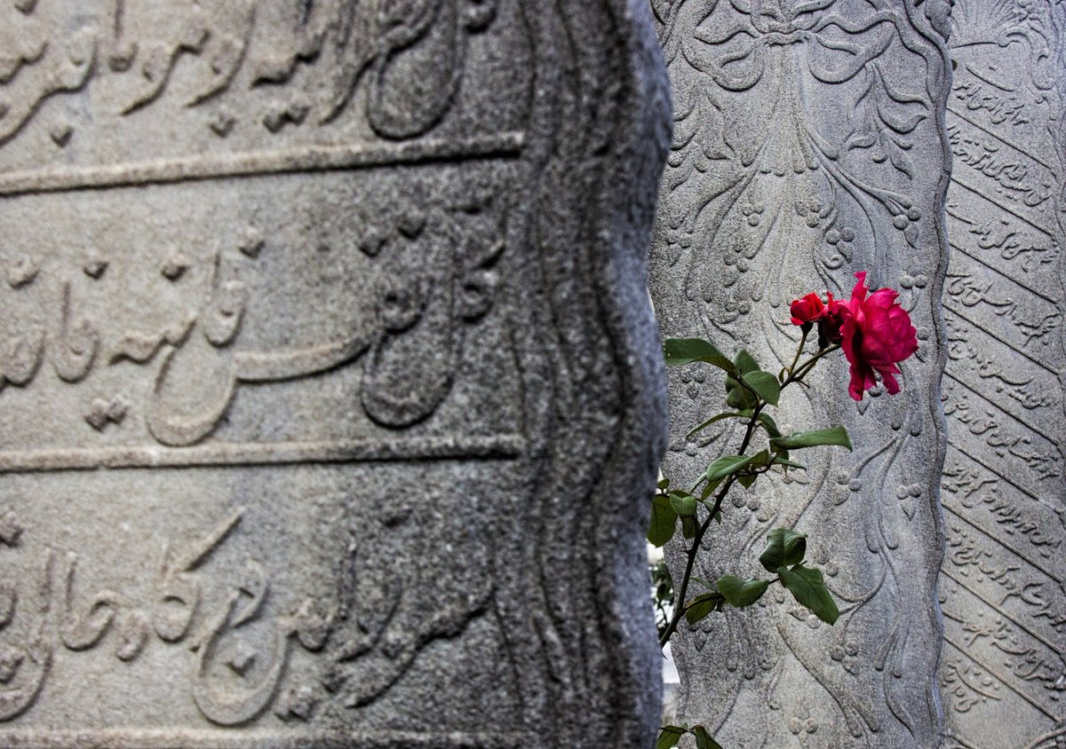 Nidayi Sevim tweet media