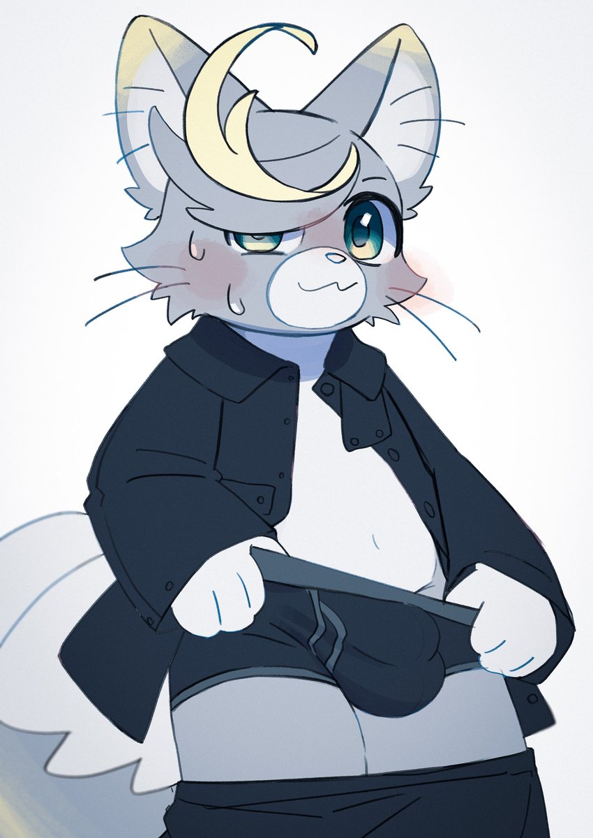 尻洗 狸 tweet media