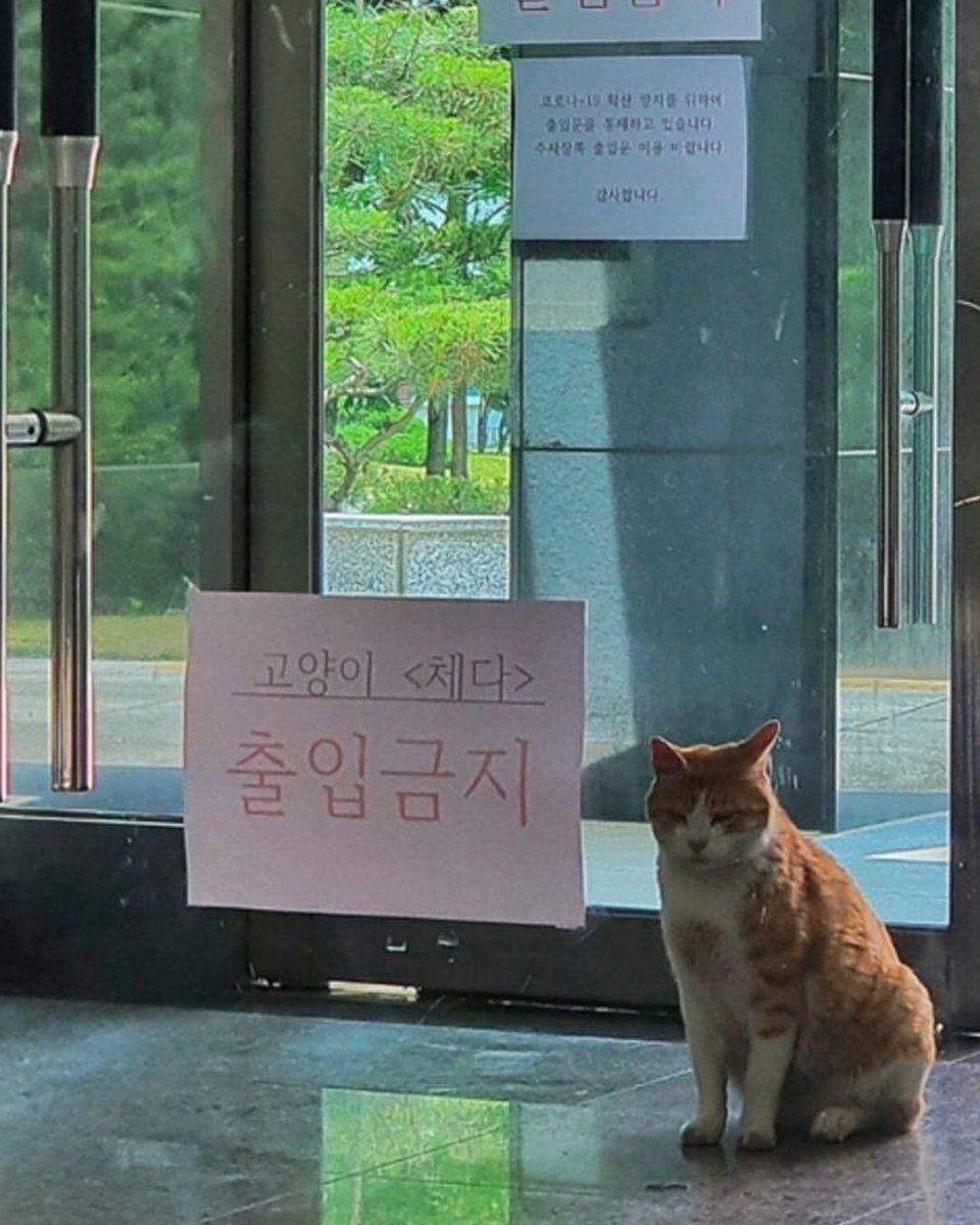 짤백업용 tweet media