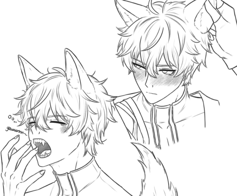 SHIRKY 🍁 tweet media