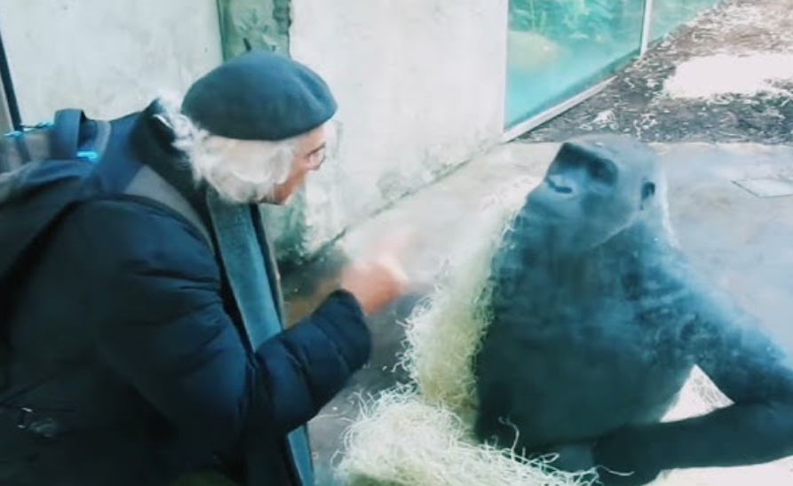 Magic Talking Skull tweet media