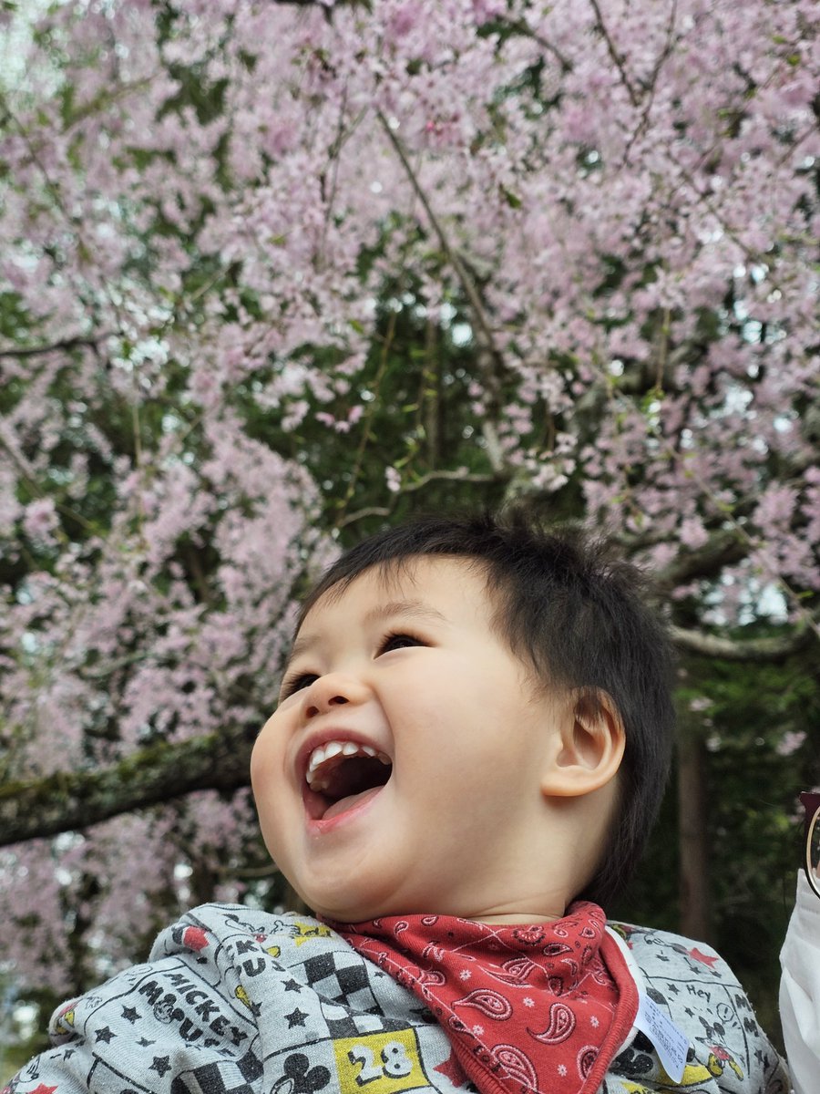 でらぴょん tweet media