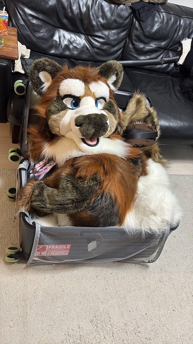 いのこ/이노코 tweet media