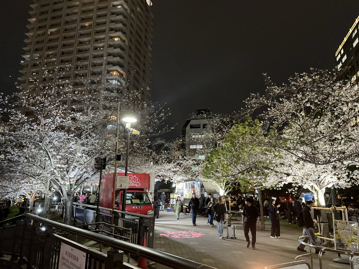 ポンコツくん@ふわっち配信 tweet media