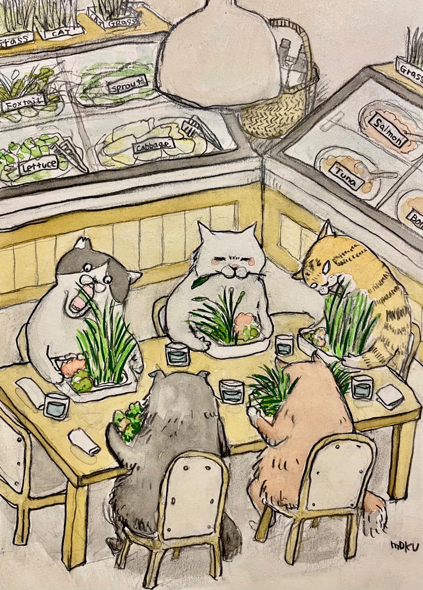 橋本もく tweet media