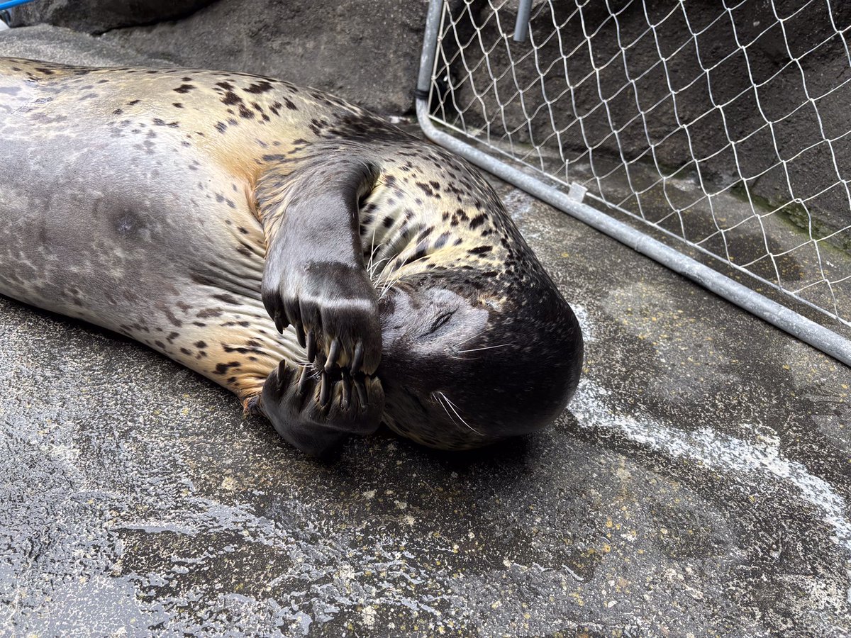 上越市立水族博物館 うみがたり tweet media