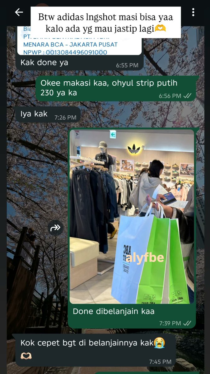 Alya ᵕ̈ tweet media