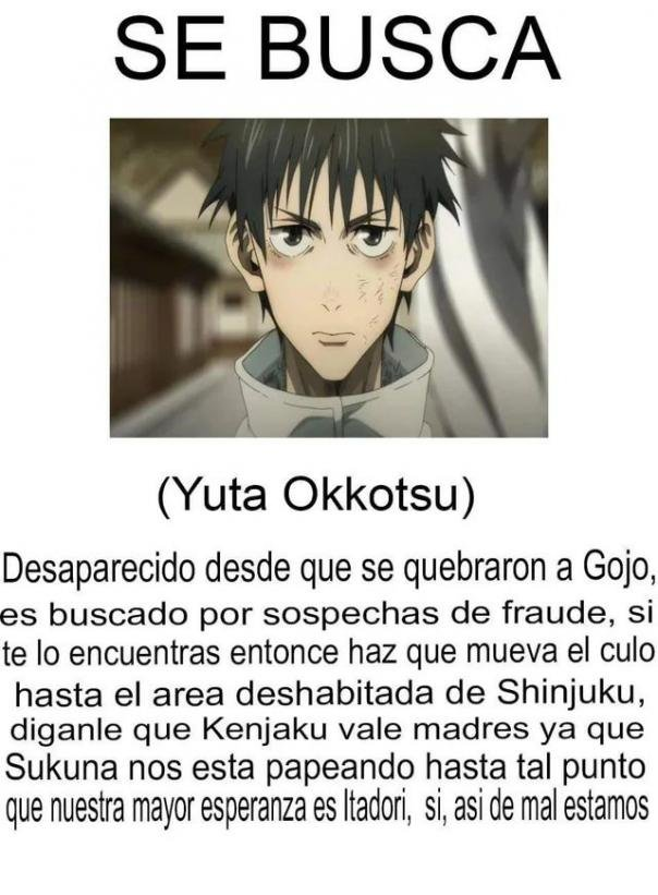 Comando Cat Rain tweet media