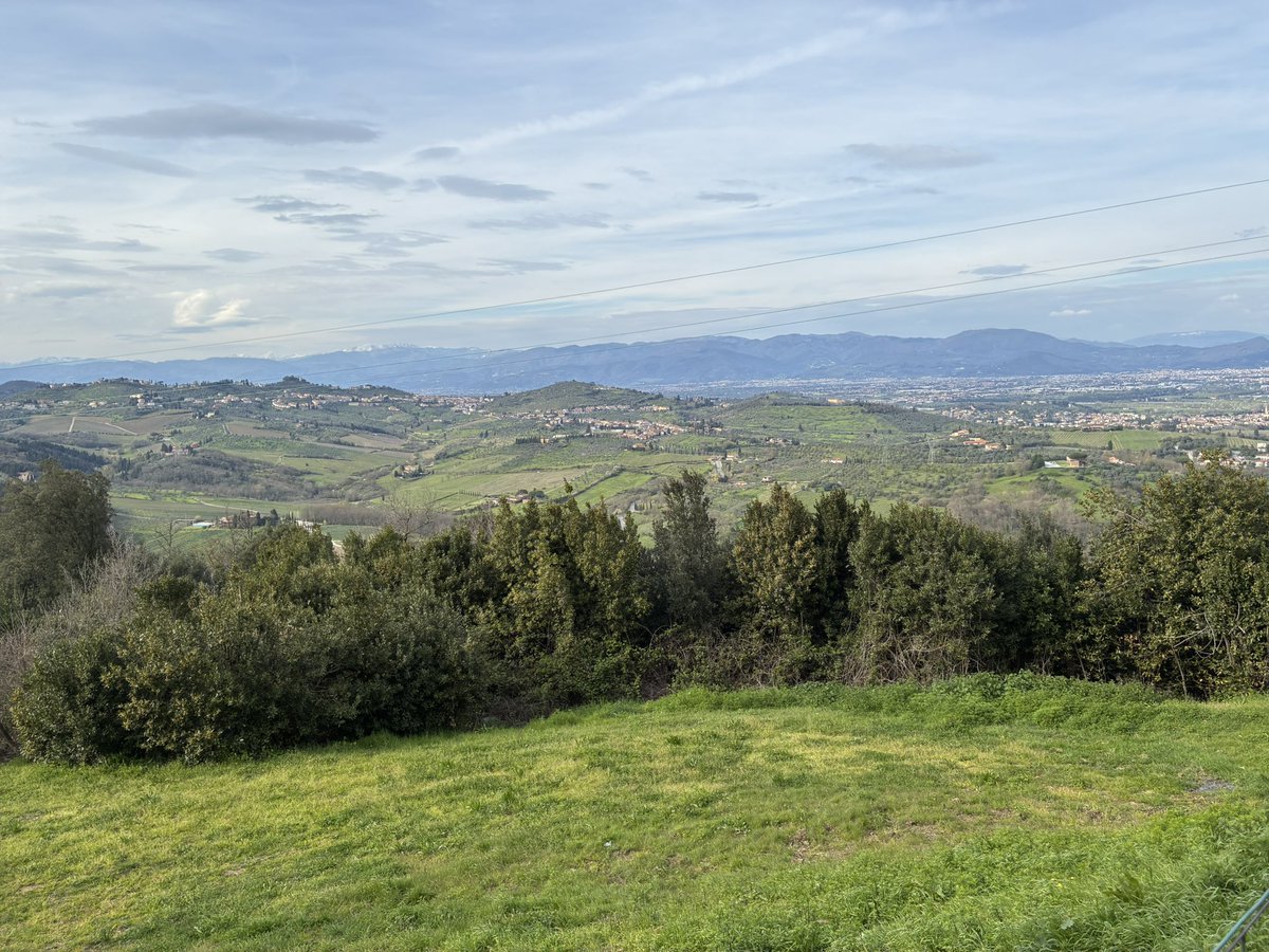 RIE(目指せ癌サバイバー) tweet media