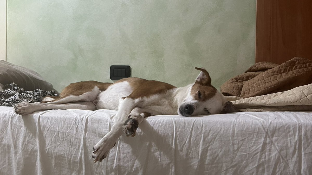 gaia🍸 tweet media