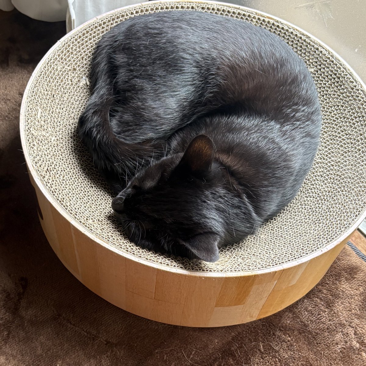 ゆきこ tweet media