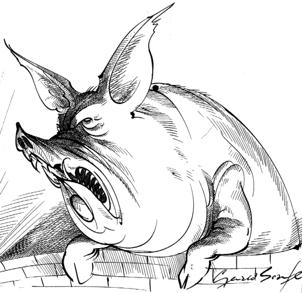 GIFS GALORE tweet media