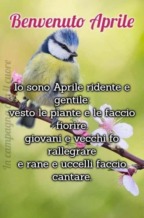 Donatella Fumagalli tweet media