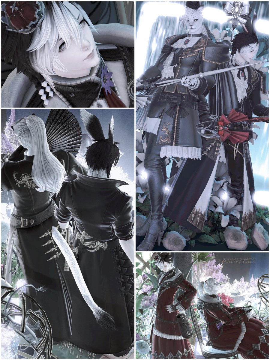 𝒇𝒓𝒐𝒛𝒆 tweet media