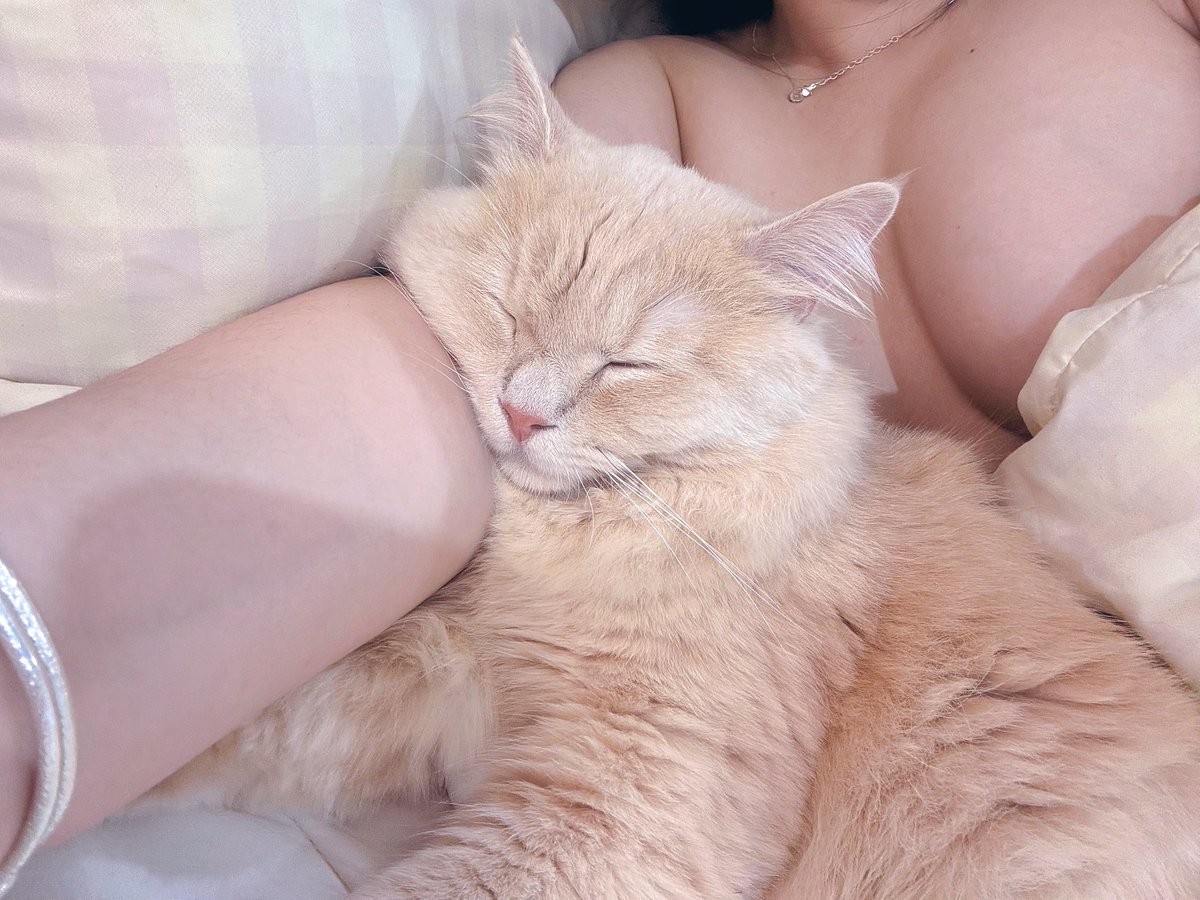 ⁵ 歲🦙小屁孩想讓人告白 tweet media