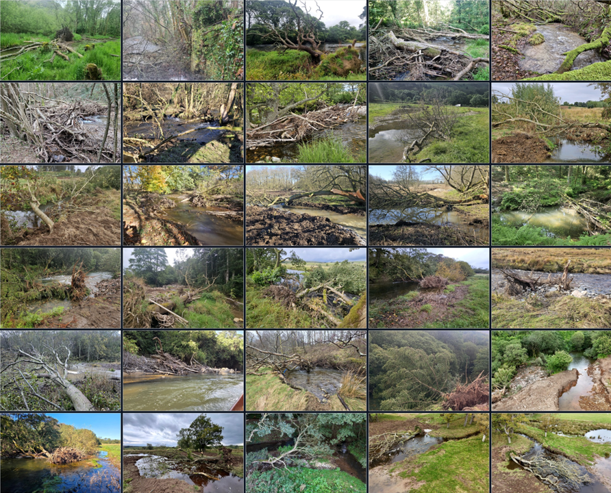 Dynamic Rivers tweet media