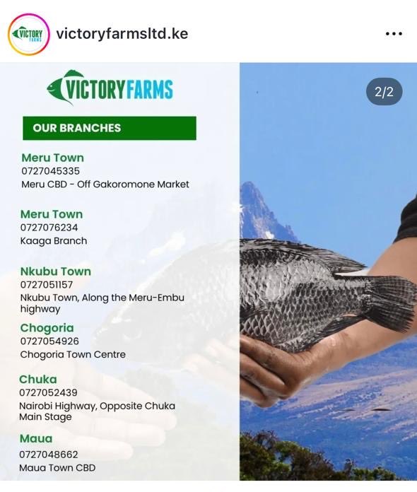 Dr. Ho Yinsen tweet media