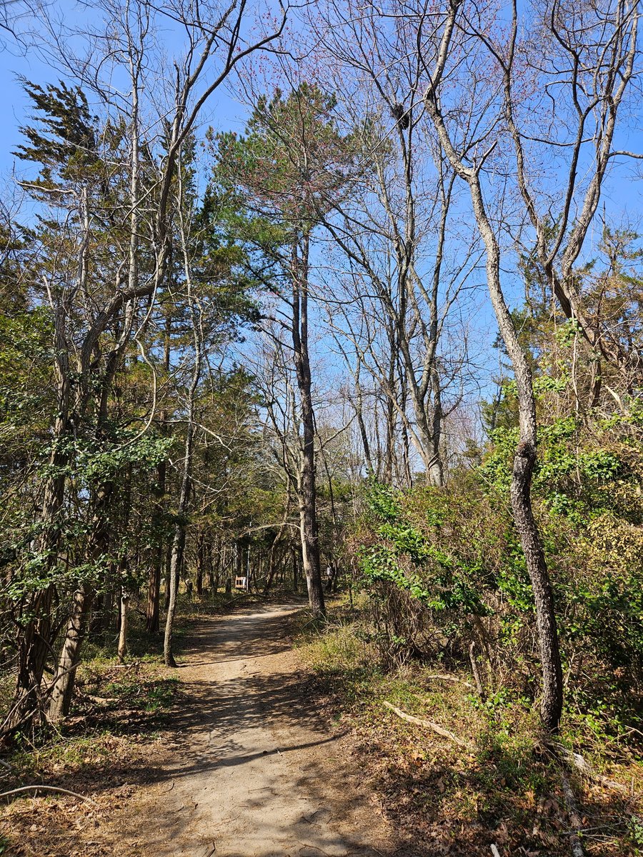 Went for a hike today bc it was beautiful out. Didn't get lost this time! 😂