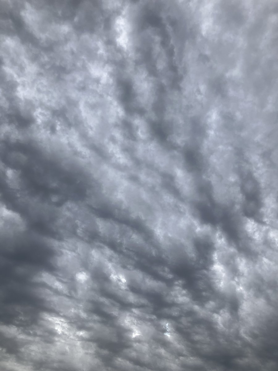 林忍 Filierあなたのためにオンリーワンをお届けするニットウエア　名古屋市守山区 tweet media