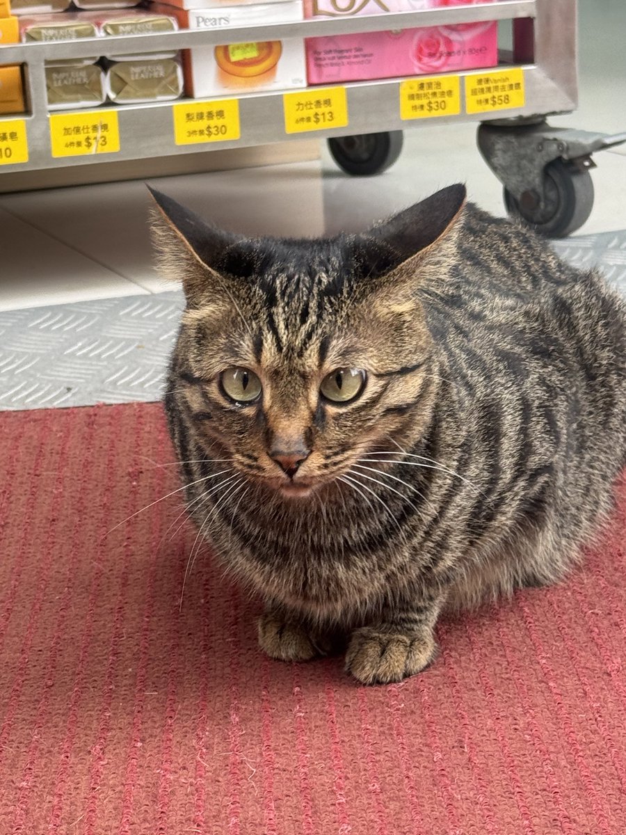 kevan🎸 tweet media