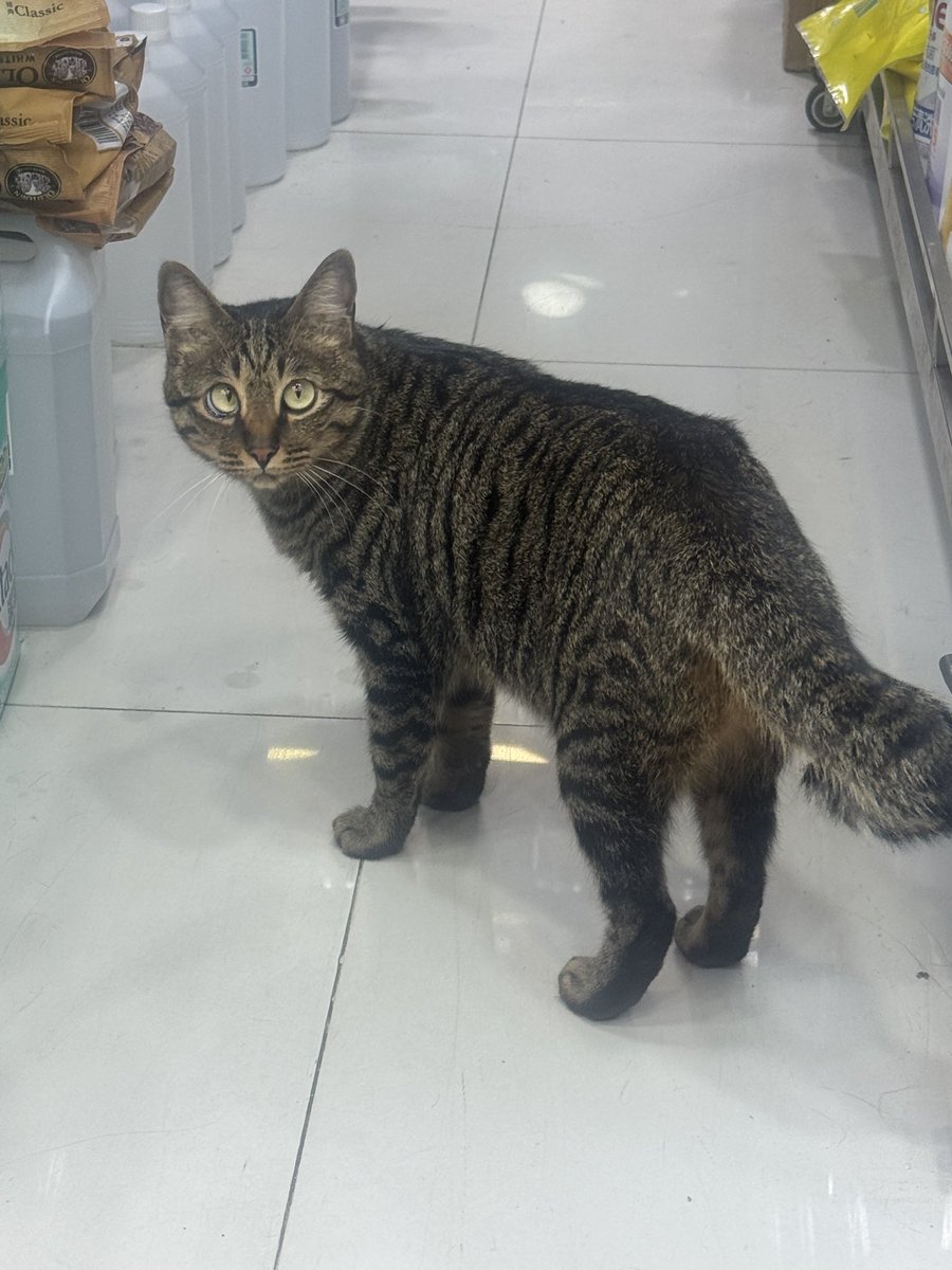 kevan🎸 tweet media