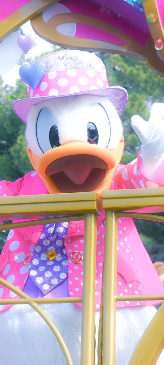 iroha🦢💙‎ tweet media